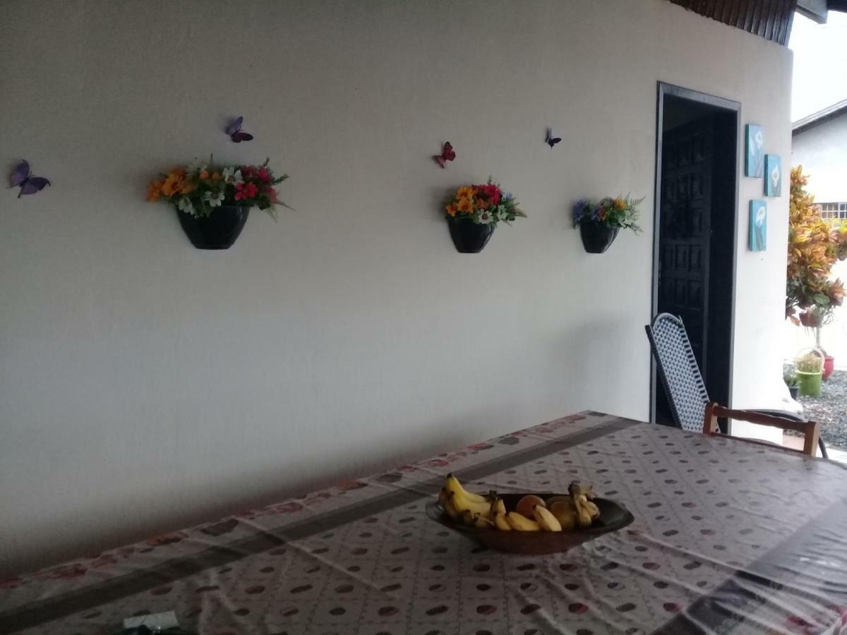 Hostel Cidade Das Flores 2 Joinville Extérieur photo